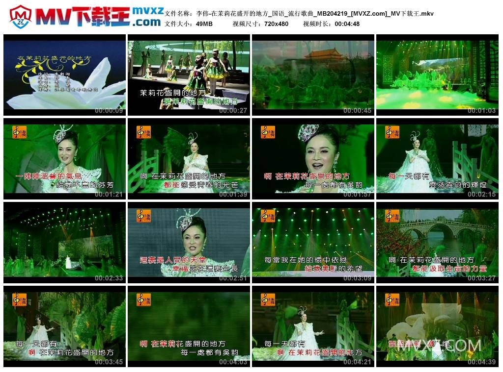 李伟-在茉莉花盛开的地方_国语_流行歌曲_MB204219